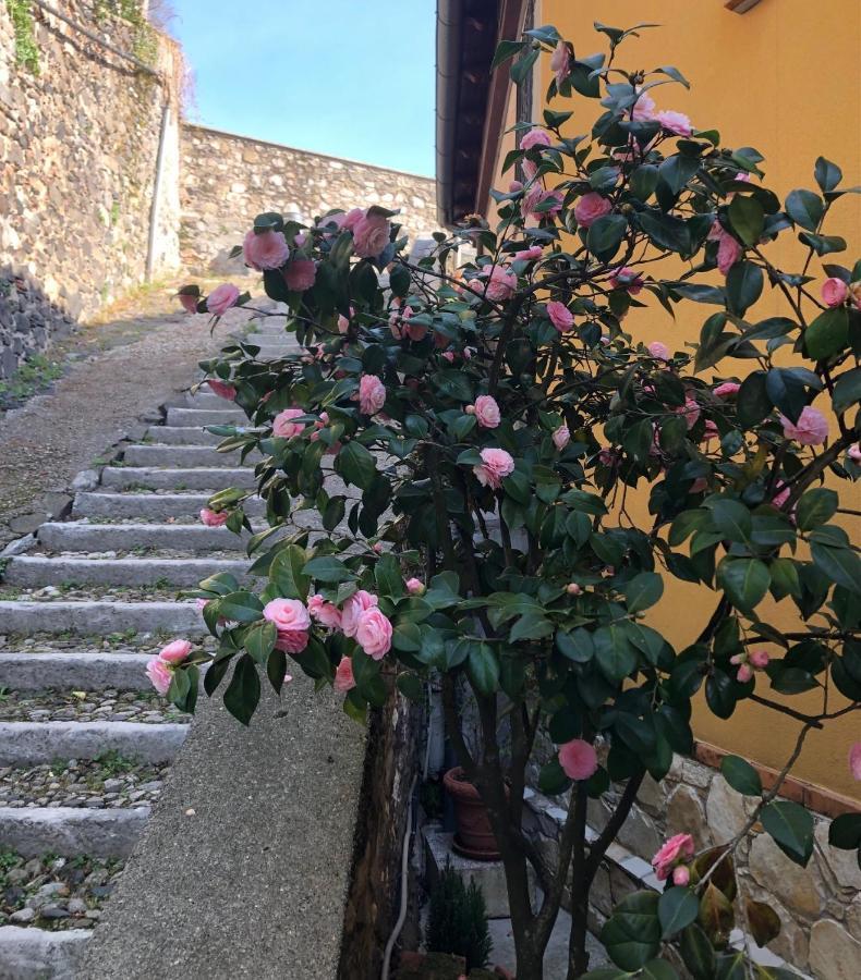 B&B Alle Scalette Trissino Εξωτερικό φωτογραφία