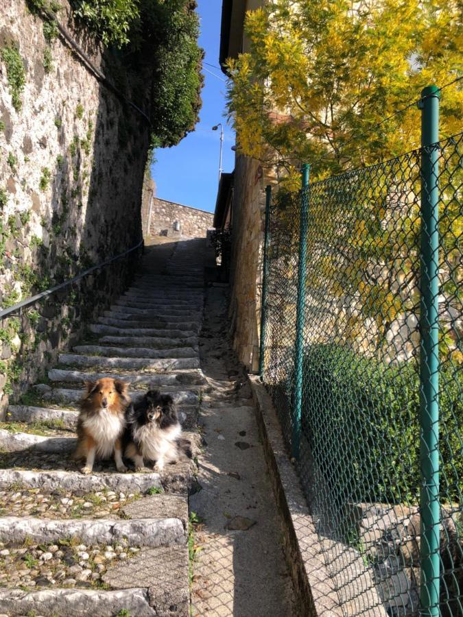 B&B Alle Scalette Trissino Εξωτερικό φωτογραφία