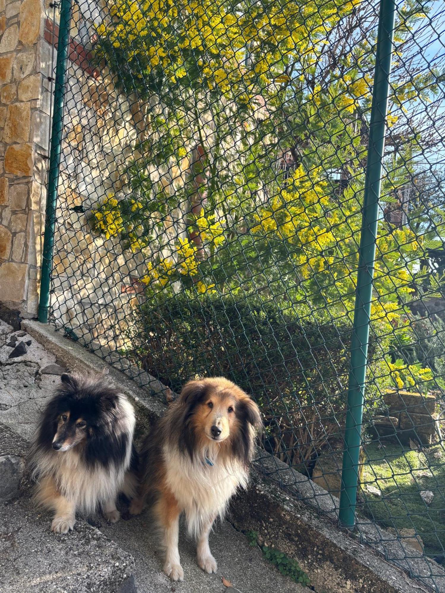 B&B Alle Scalette Trissino Εξωτερικό φωτογραφία
